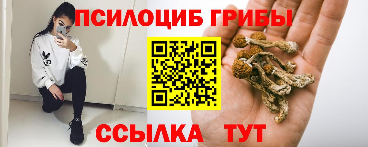 Псилоцибиновые грибы Cubensis Нальчик