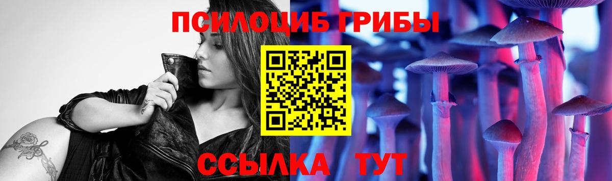 Нальчик  Псилоцибиновые грибы Psilocybine cubensis  наркота  Псилоцибиновые грибы Psilocybine cubensis  Вход с VPN 